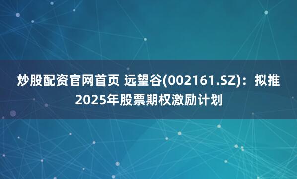 炒股配资官网首页 远望谷(002161.SZ)：拟推2025年股票期权激励计划