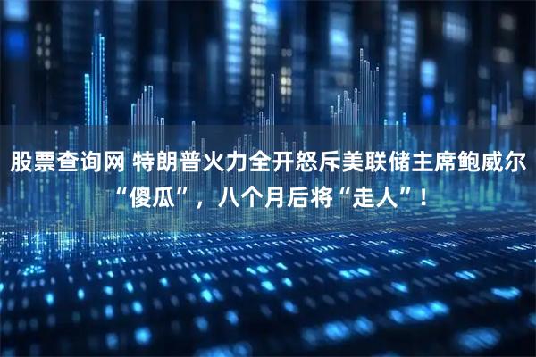 股票查询网 特朗普火力全开怒斥美联储主席鲍威尔“傻瓜”，八个月后将“走人”！